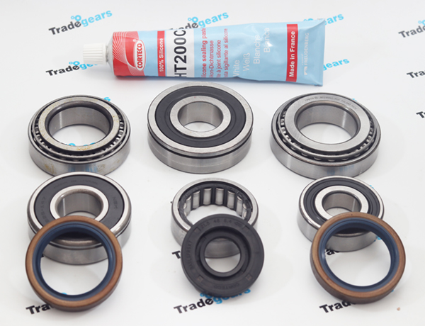 Ford IB5 Gearbox Bearing & Seal Repair Kit