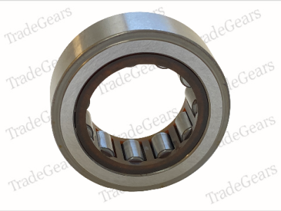 VP25-4 Cylindrical Roller Bearing