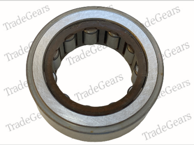 HYD6004C  Cylindrical Roller Bearing